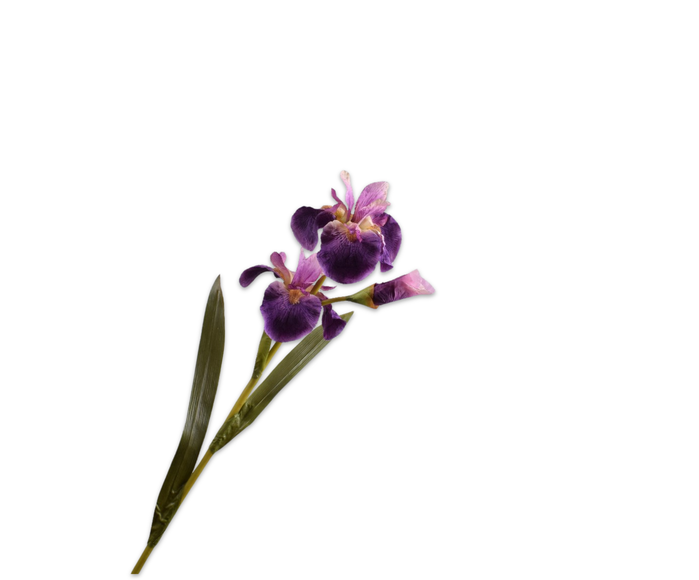 IRIS SPRAY LL/PRP  77 CM