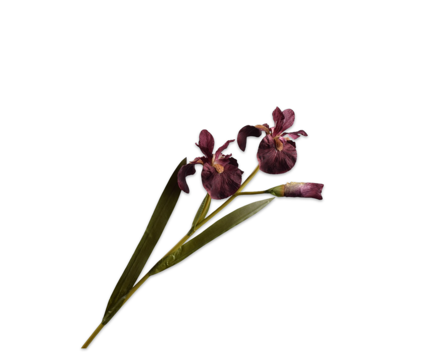 IRIS SPRAY BURGUND  77 CM