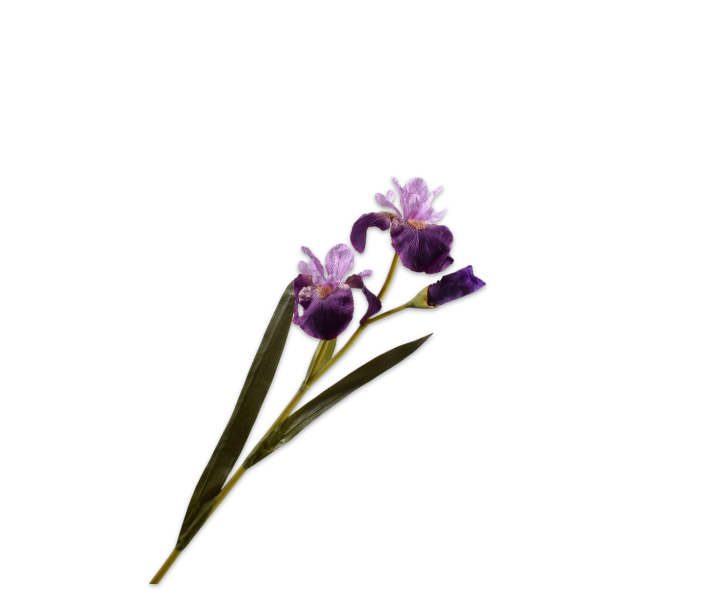 IRIS SPRAY PURPLE  77 CM