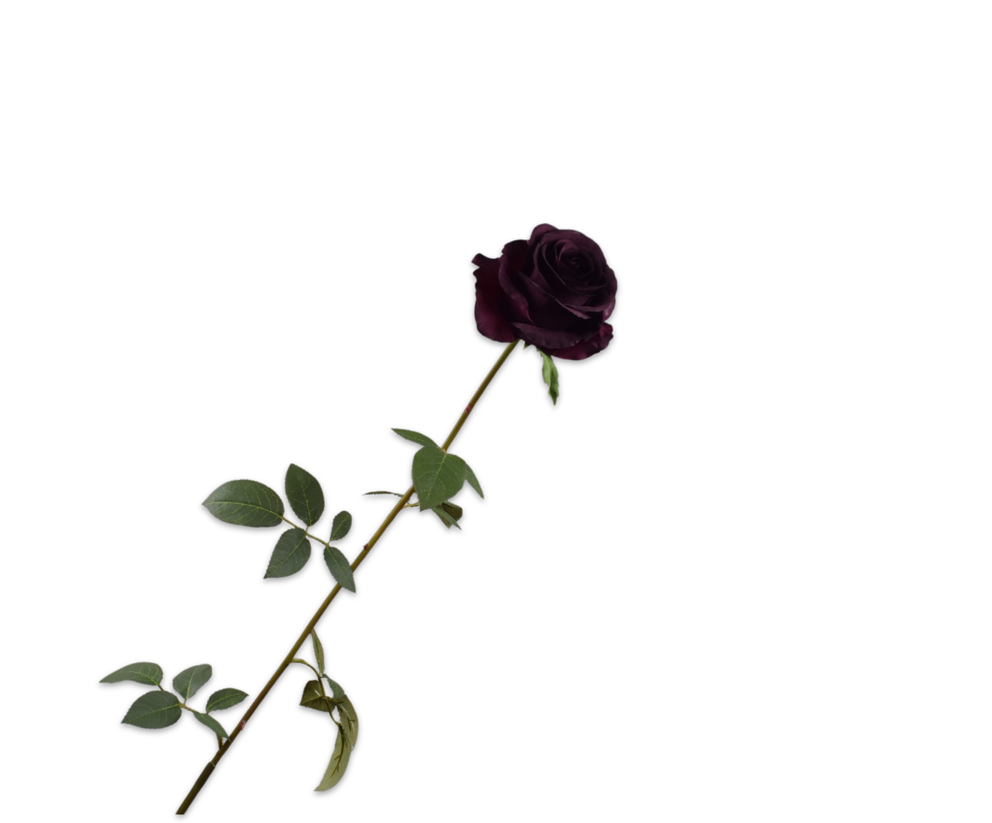 ROSE STEM PRP DK  95 CM