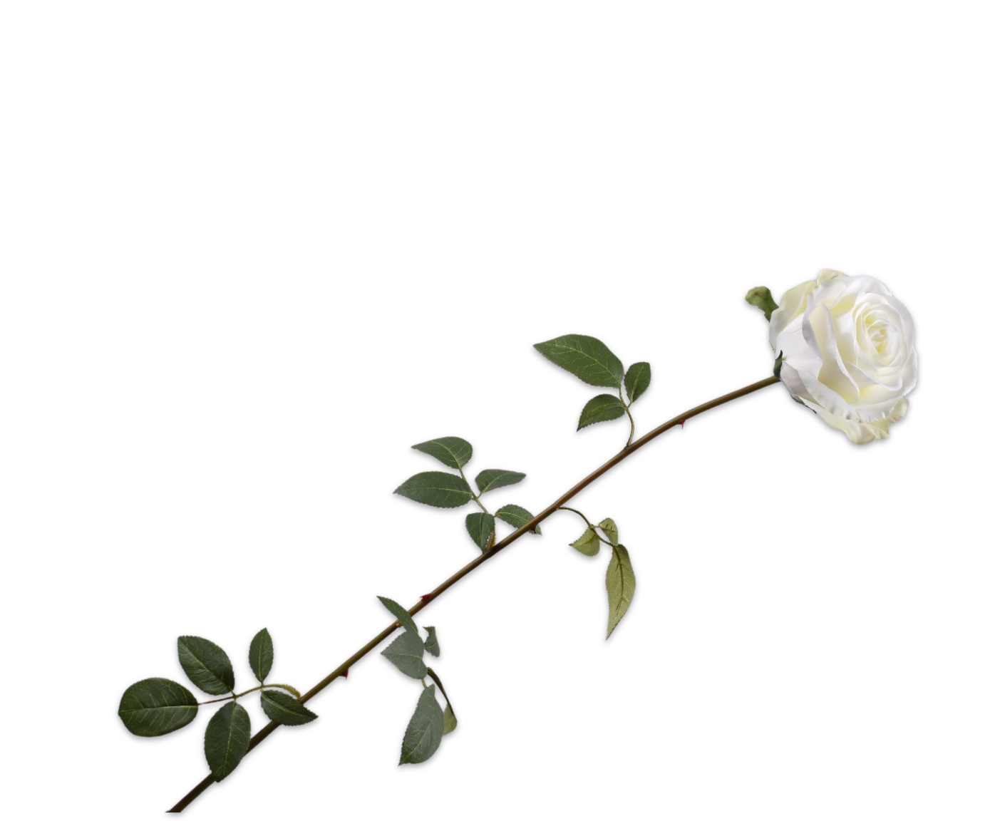 ROSE STEM WHITE  95 CM