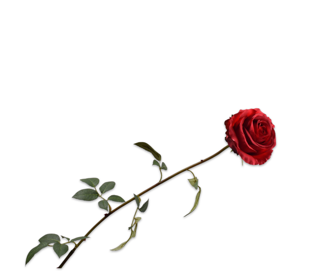 ROSE STEM RED  95 CM