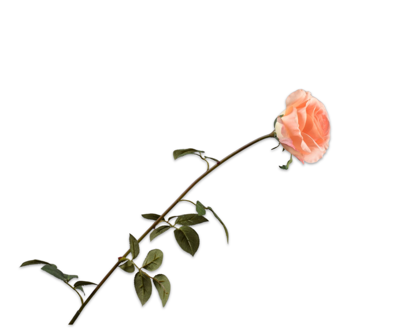 ROSE STEM PEACH  95 CM