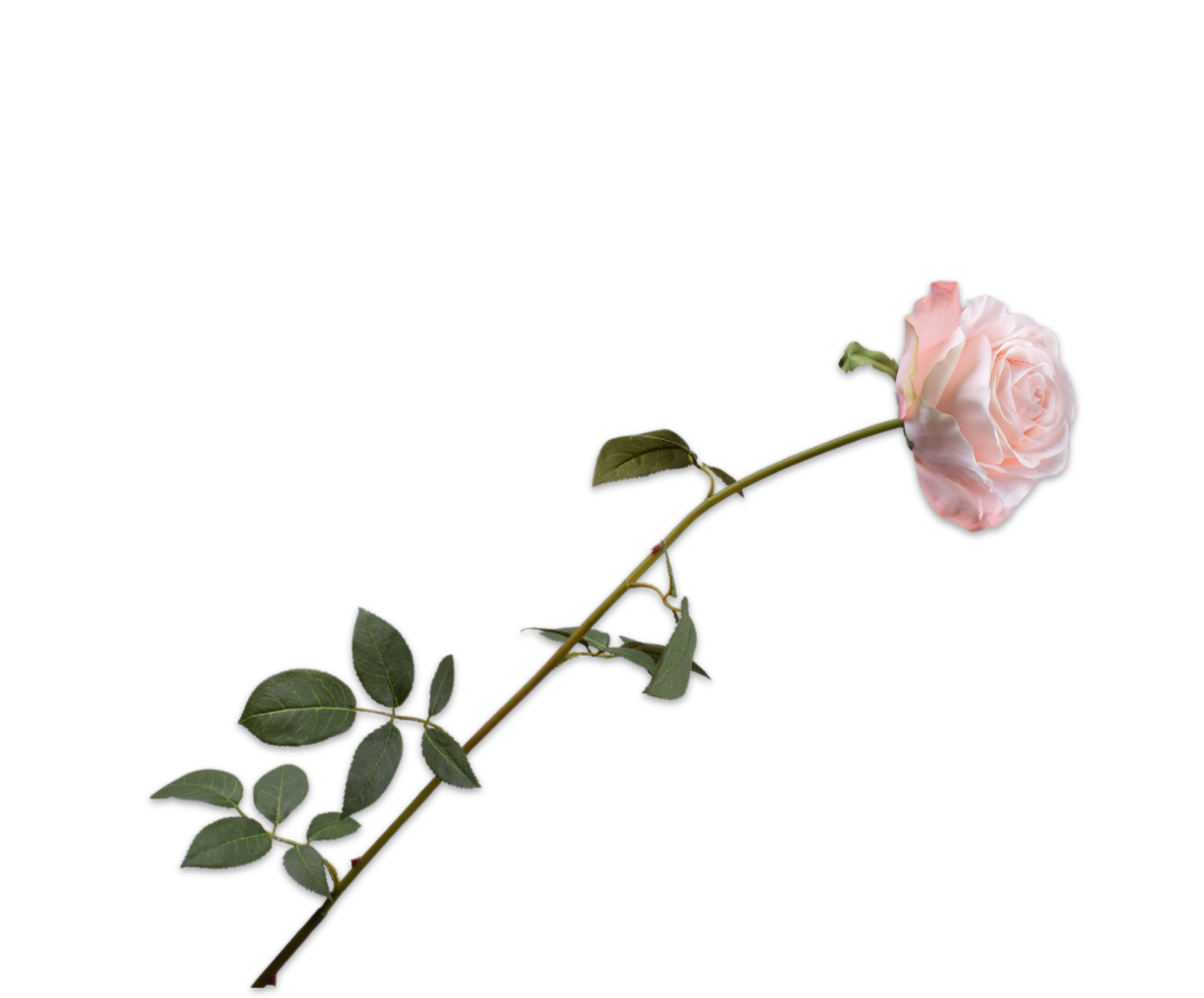 ROSE STEM SALMON  95 CM