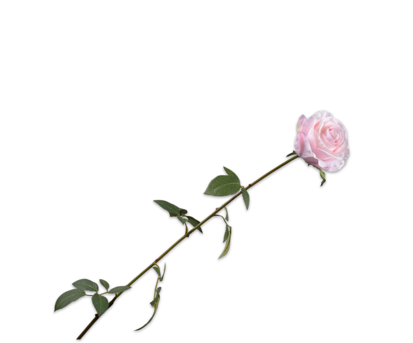 ROSE STEM PINK  95 CM