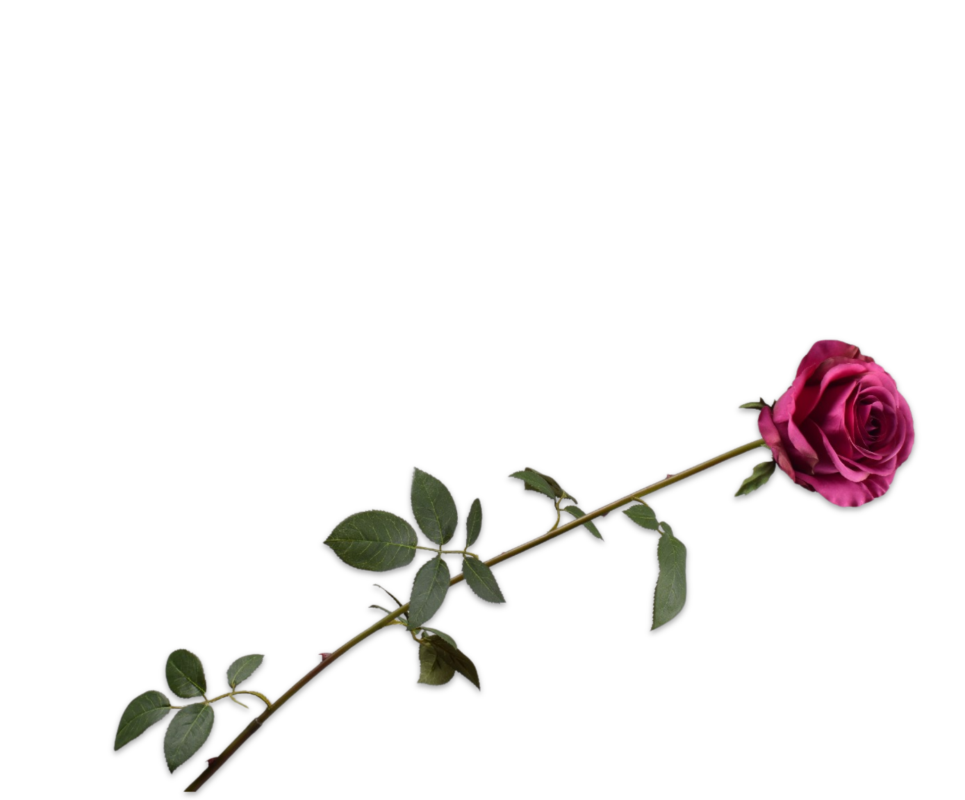 ROSE STEM PURPLE  95 CM