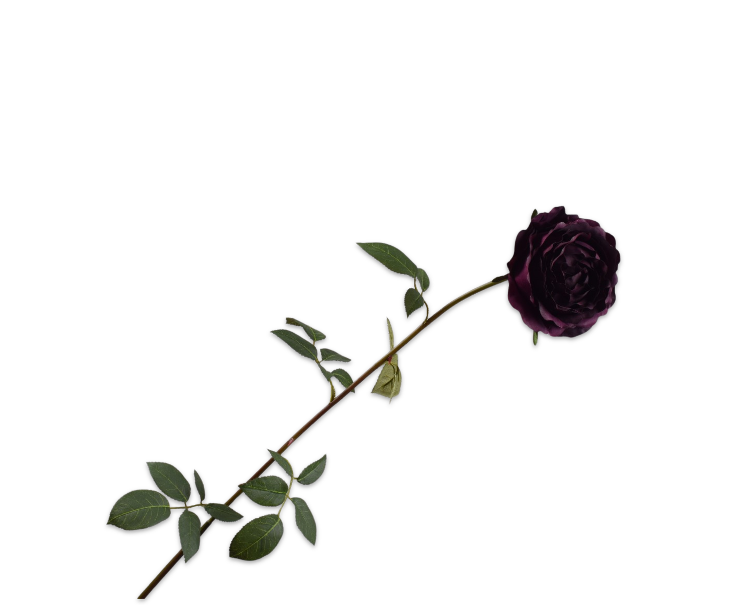 ROSE STEM PRP DK  95 CM