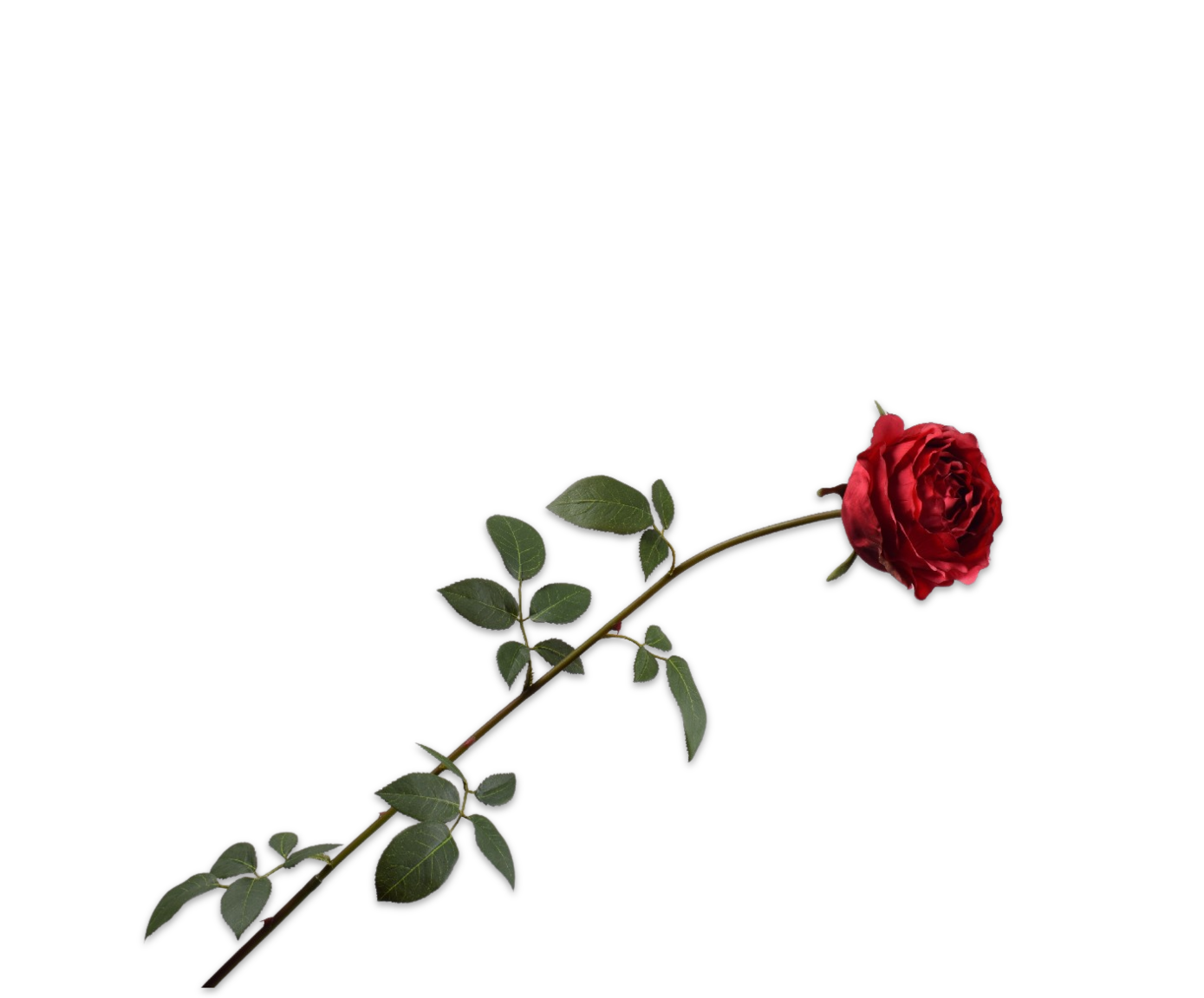 ROSE STEM RED  95 CM