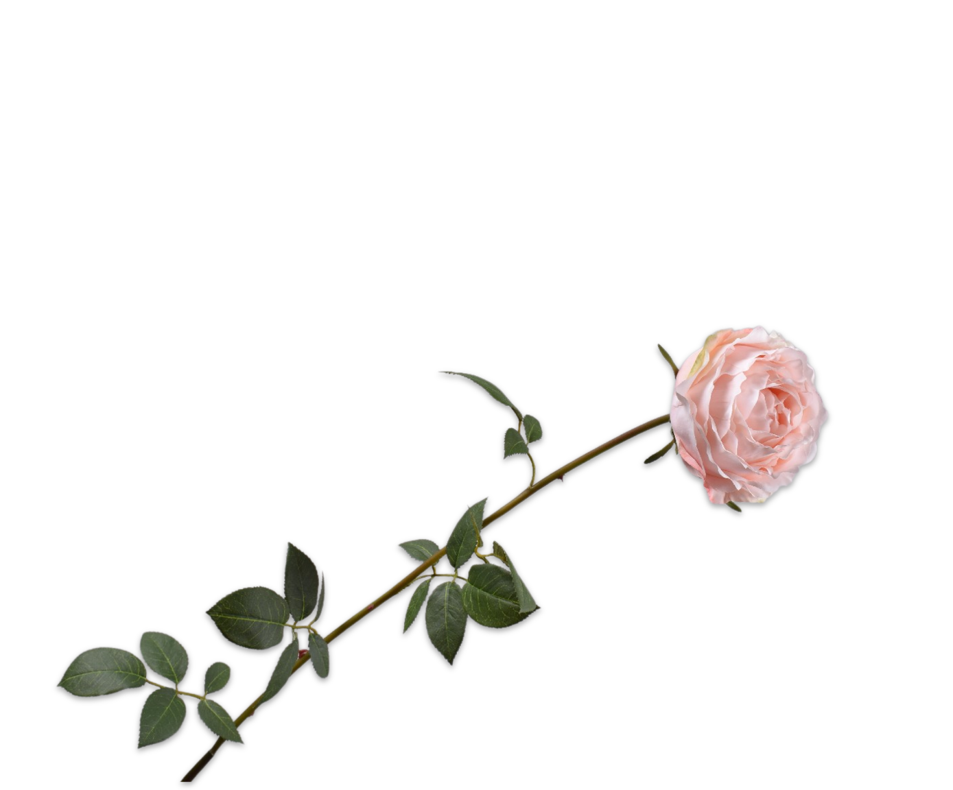 ROSE STEM SALMON  95 CM