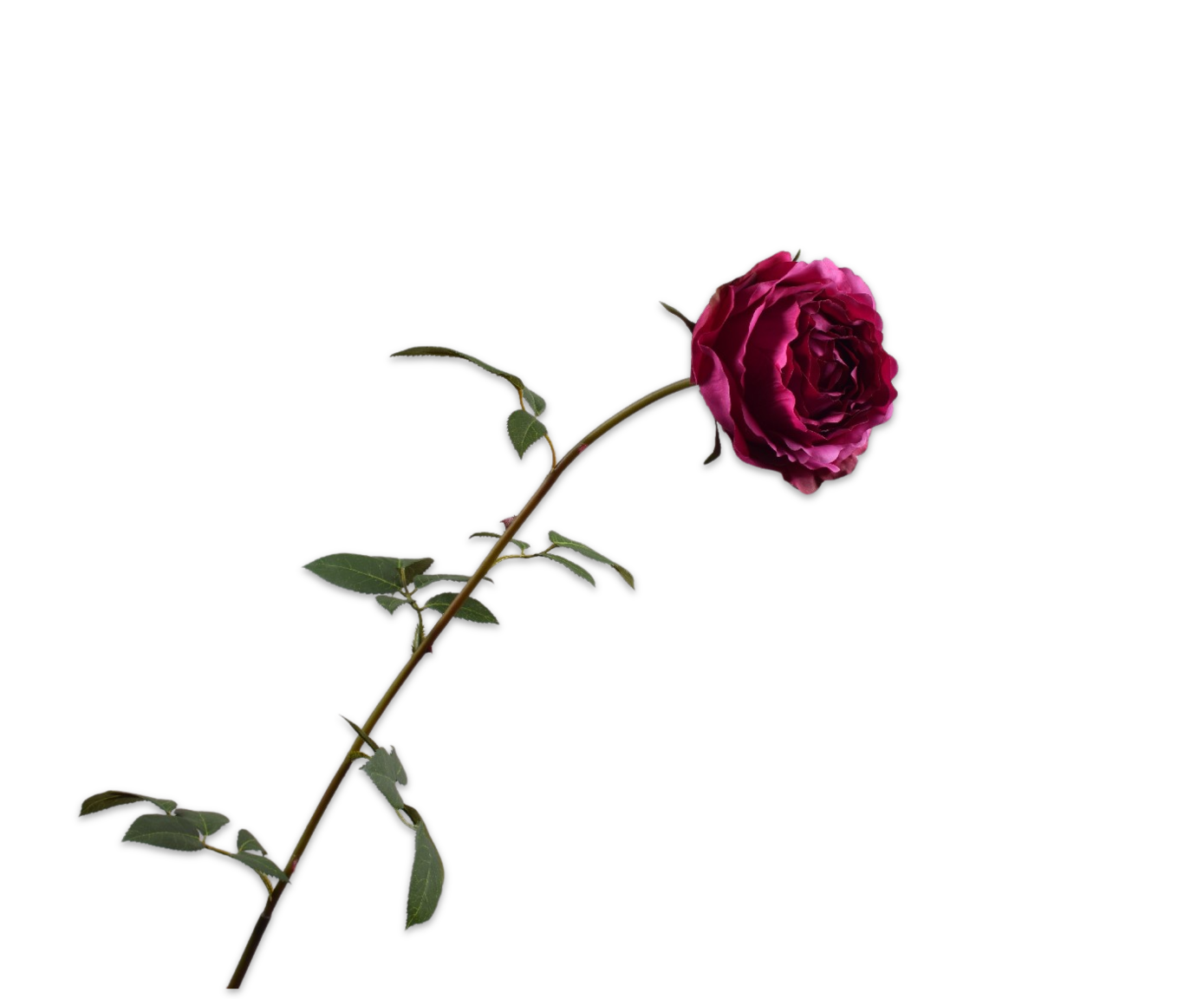 ROSE STEM PURPLE  95 CM