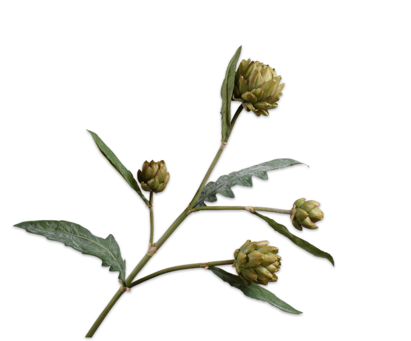 ARTICHOKE SPRAY GREEN  121 CM
