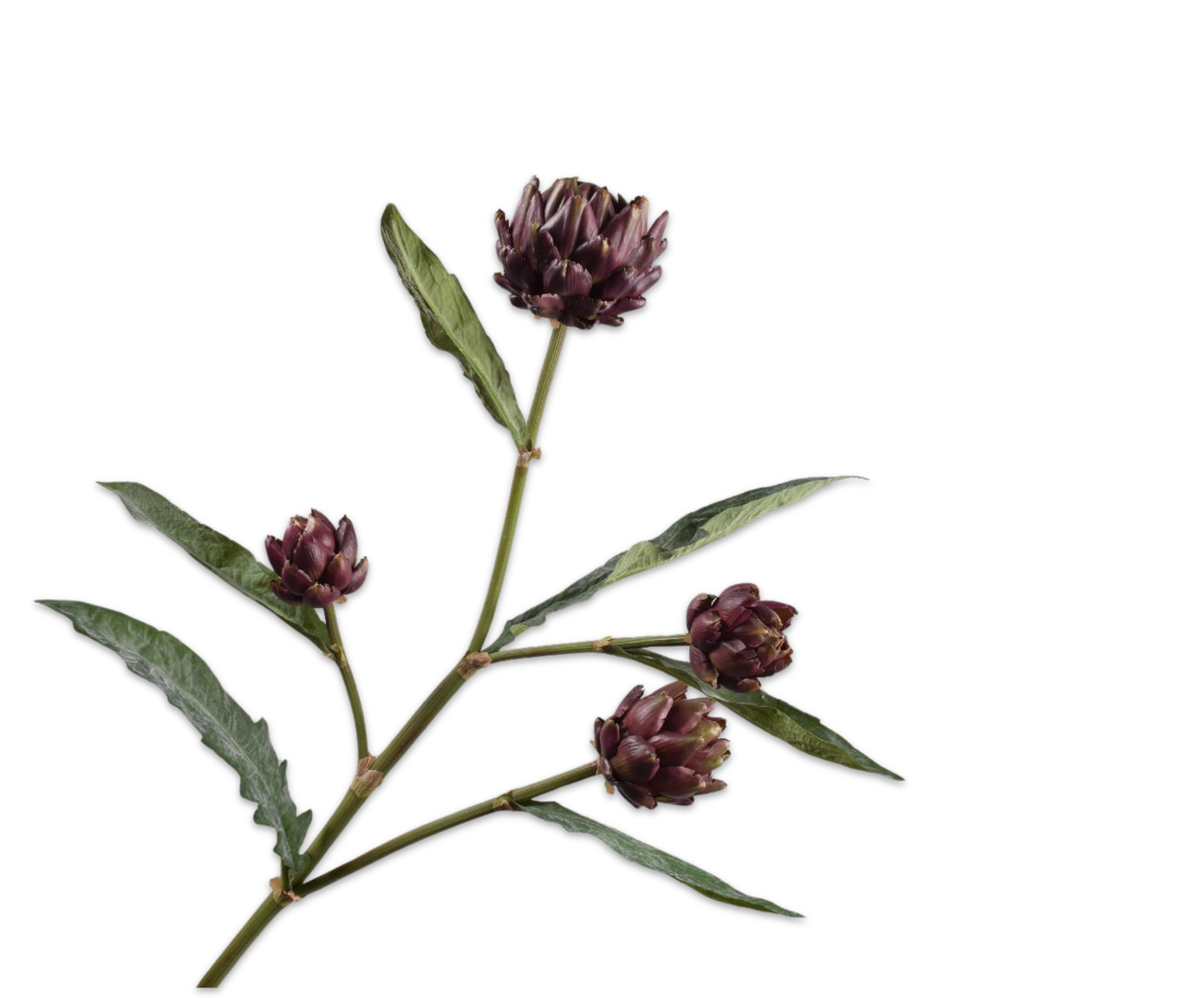 ARTICHOKE SPRAY LAVEND  121 CM