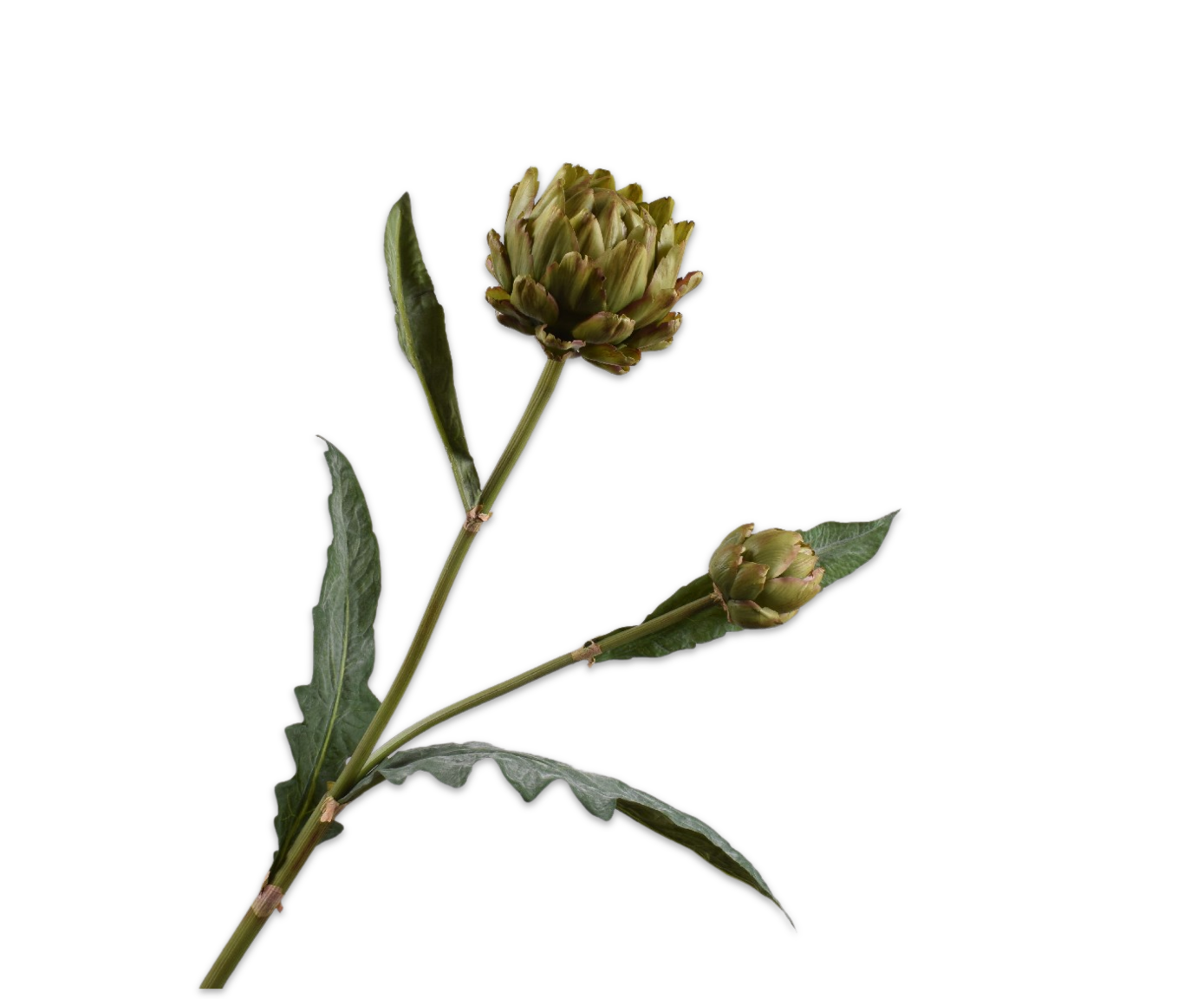 ARTICHOKE SPRAY GREEN  99 CM