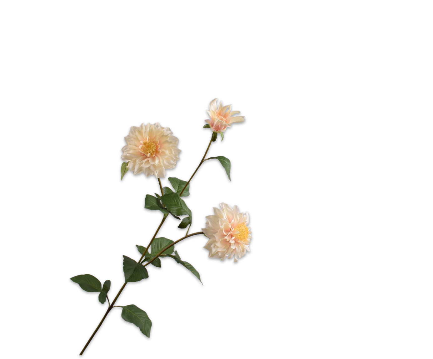 DAHLIA SPRAY CREAM  112 CM