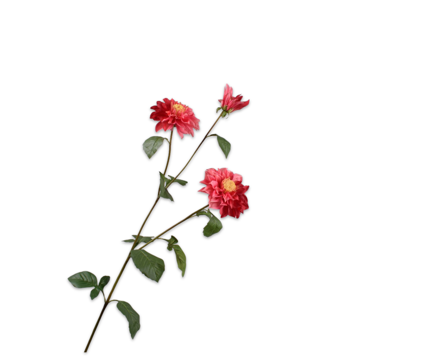 DAHLIA SPRAY PNK/RD  112 CM