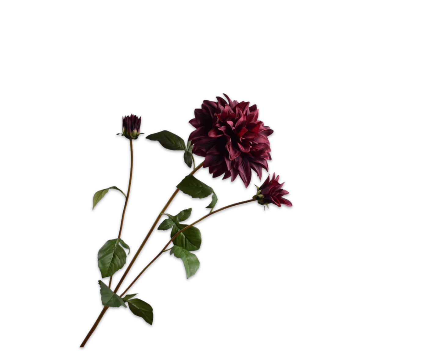 DAHLIA SPRAY BURGUND  106 CM