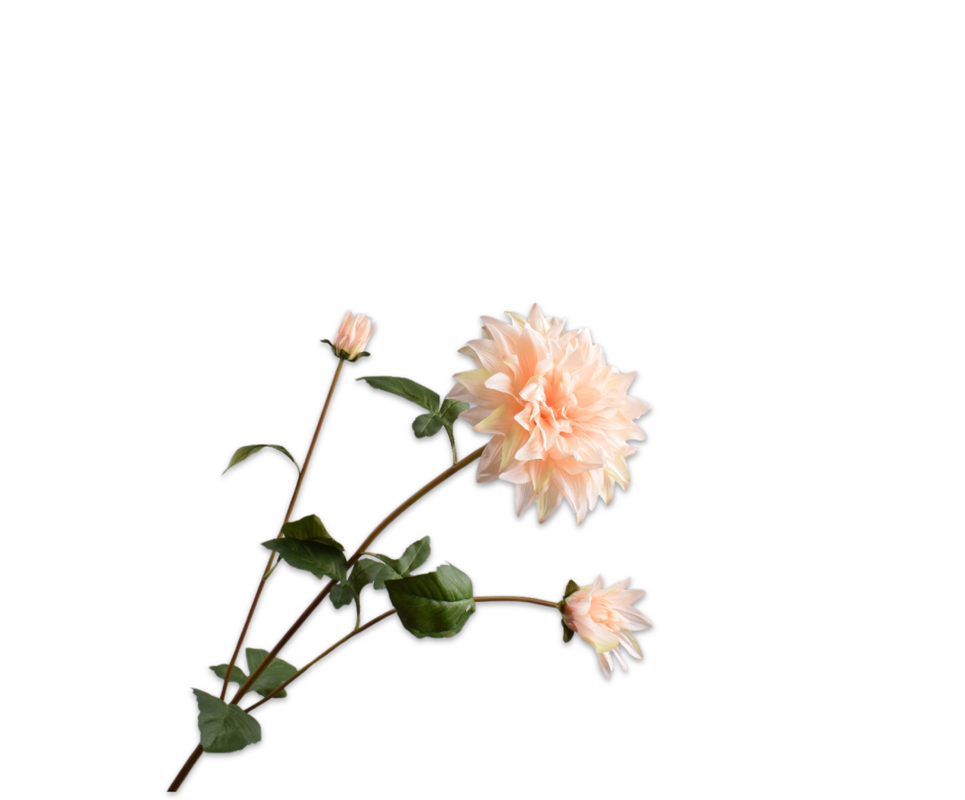 DAHLIA SPRAY SALMON  106 CM