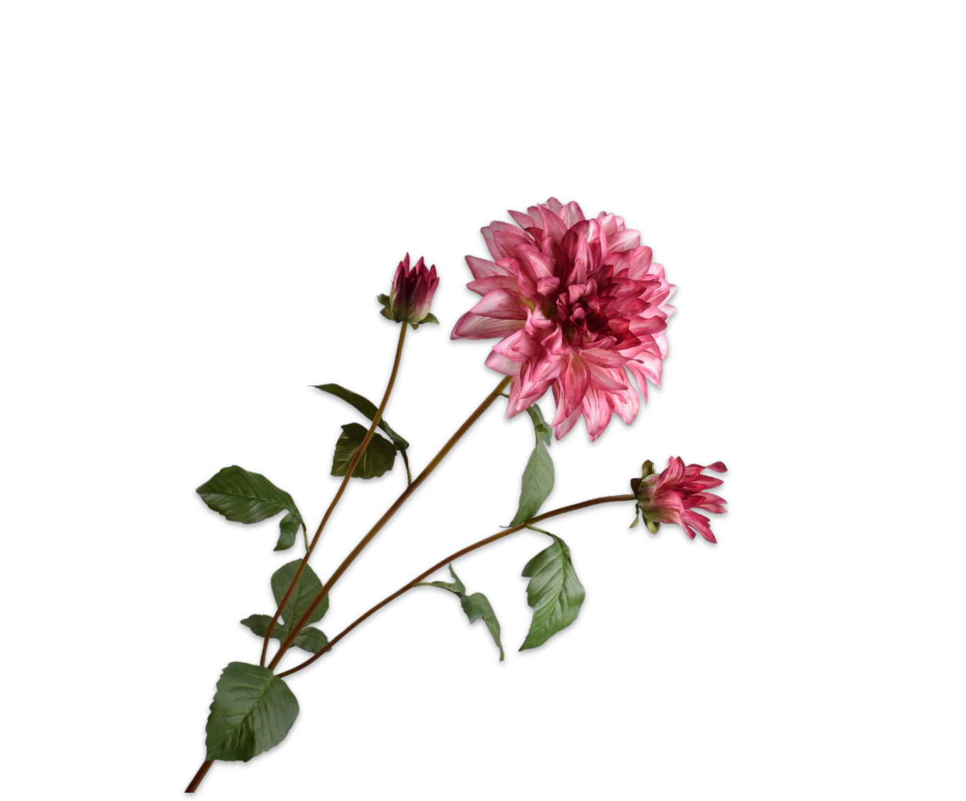 DAHLIA SPRAY PINK DK  106 CM
