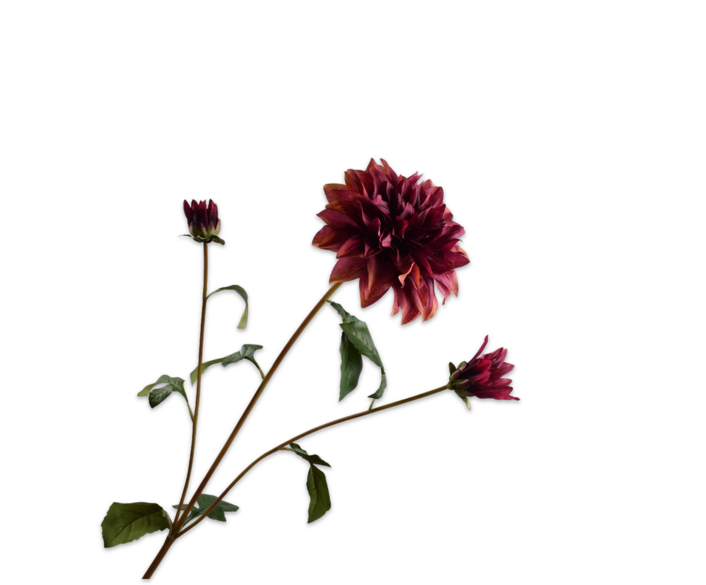 DAHLIA SPRAY BURG/BROWN  106 CM