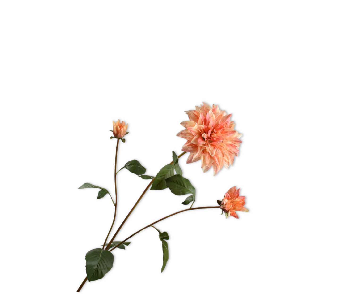 DAHLIA SPRAY PEACH  106 CM