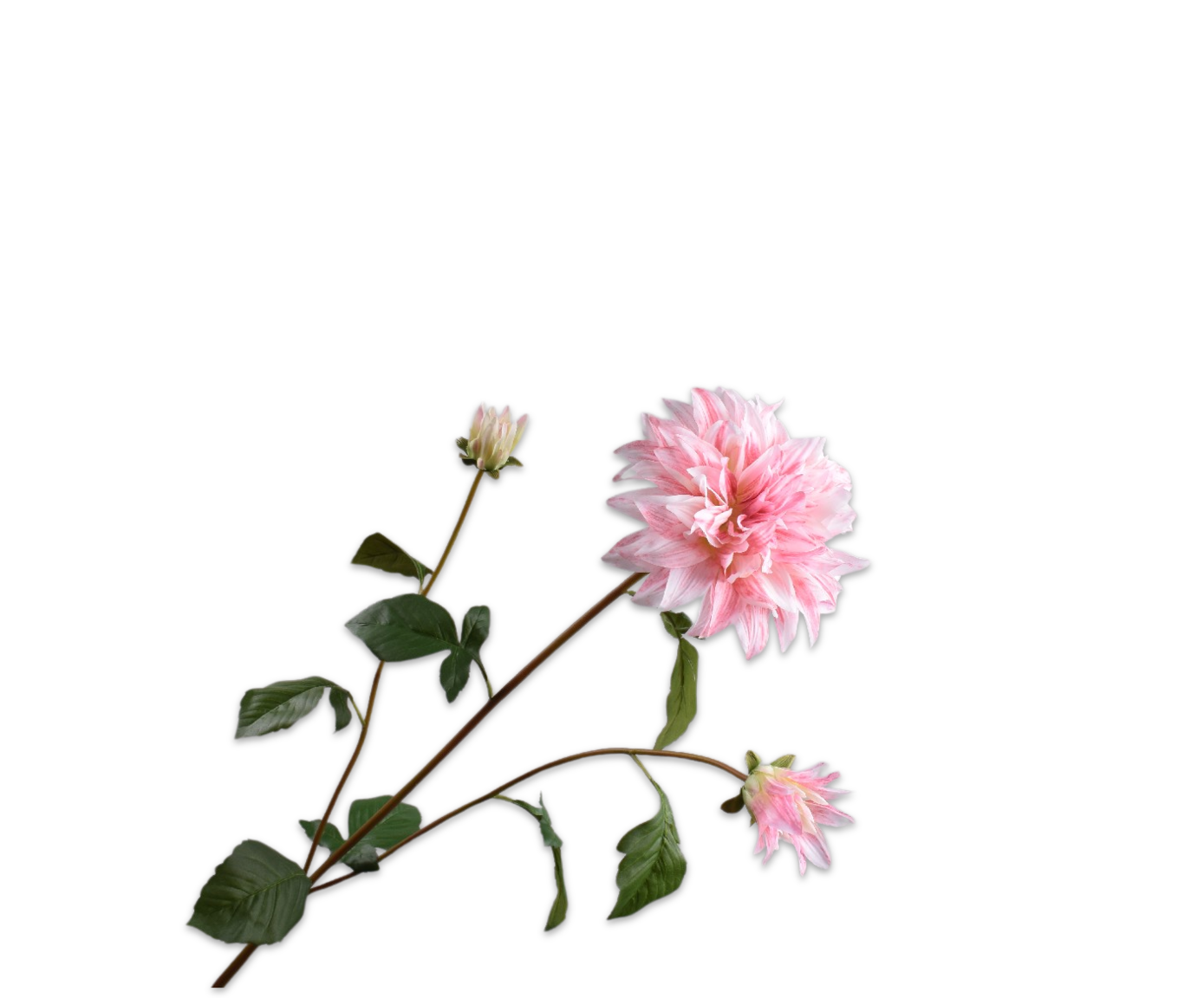 DAHLIA SPRAY PINK LT  106 CM