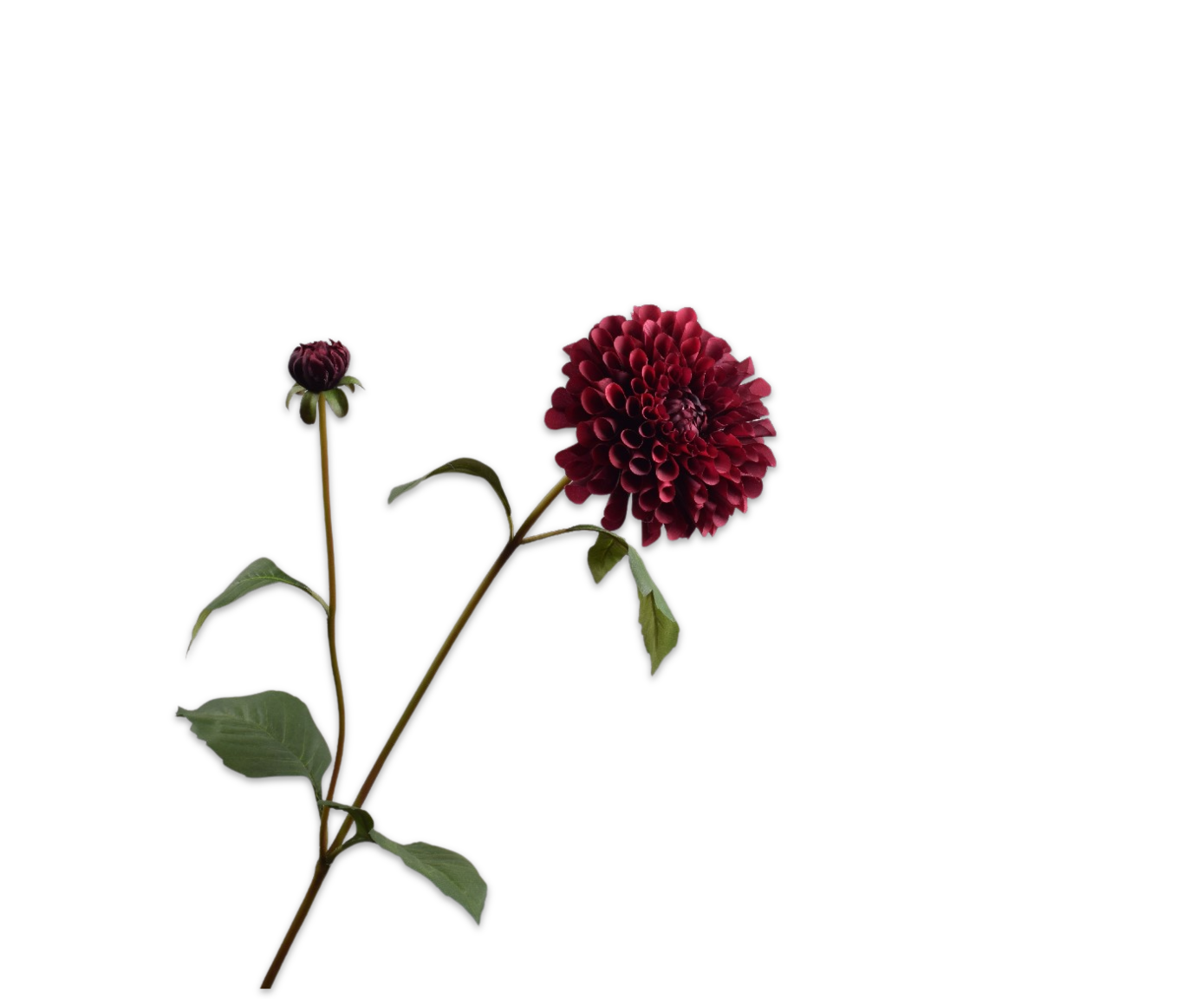 DAHLIA SPRAY BURGUND  80 CM