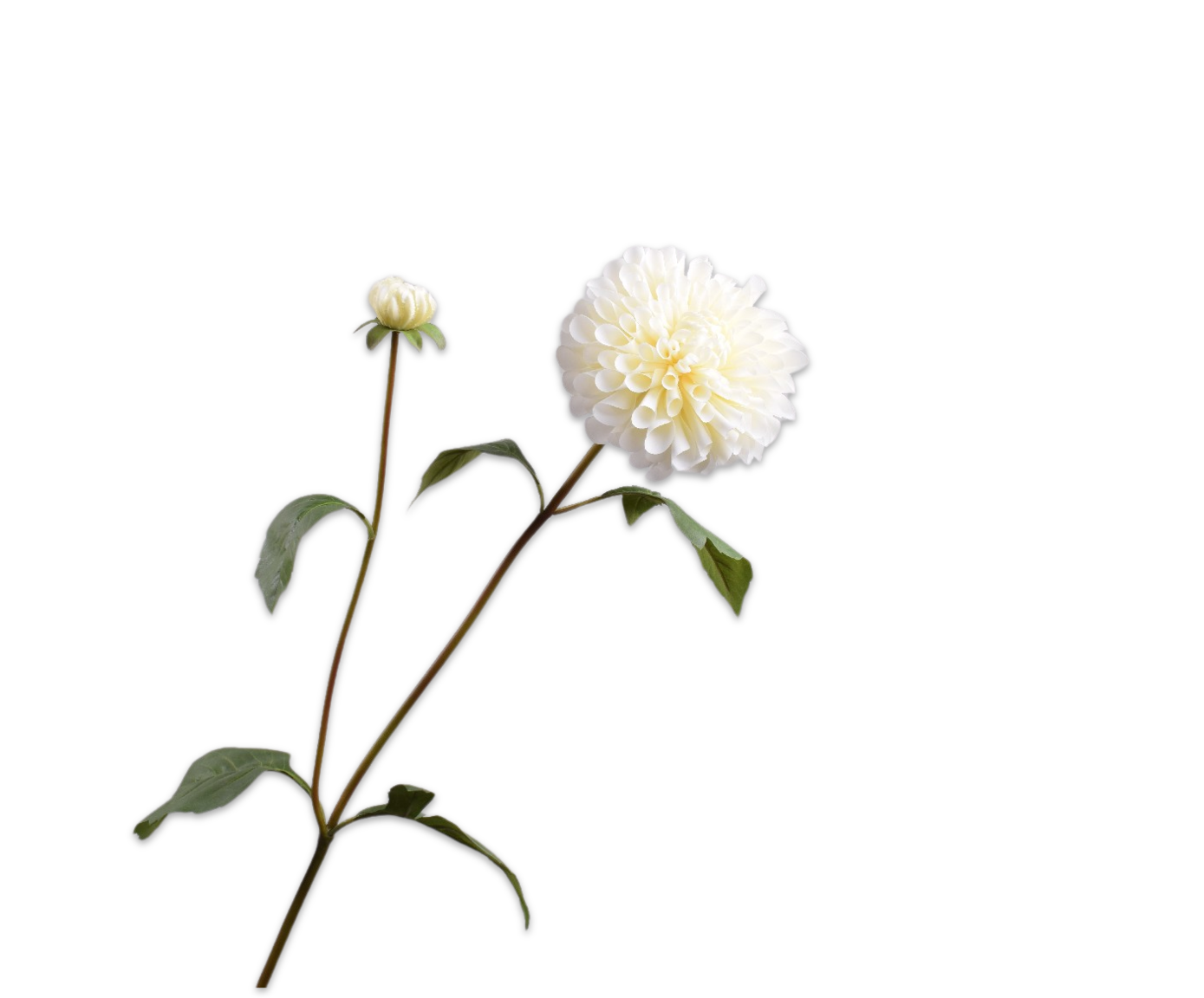 DAHLIA SPRAY WHITE  80 CM