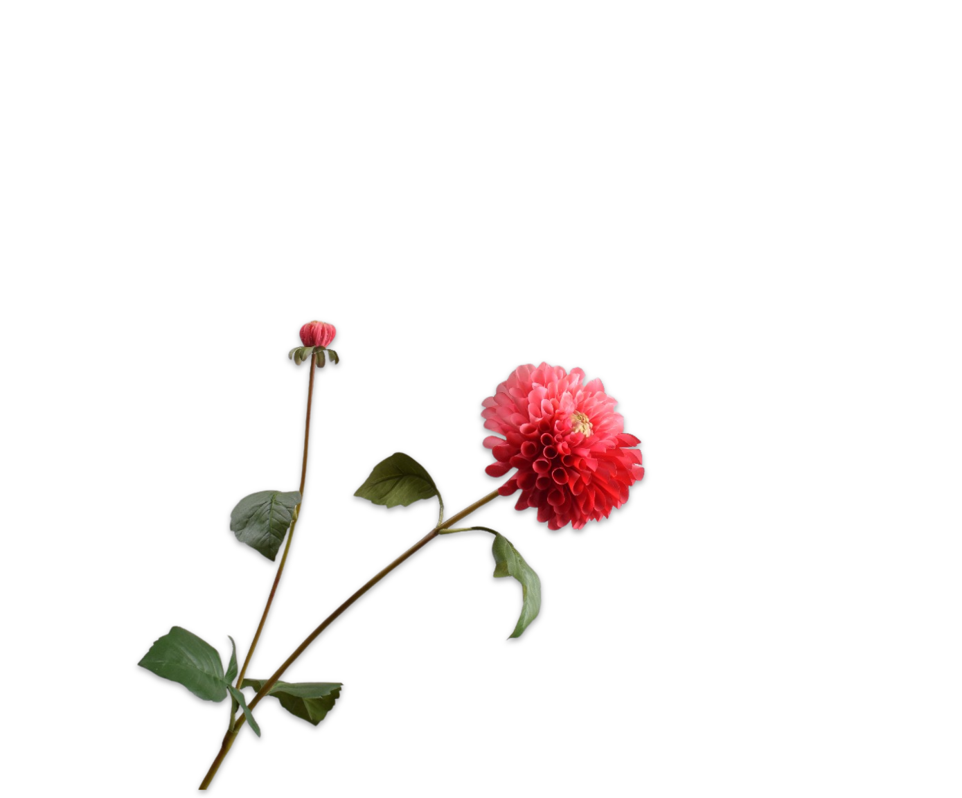 DAHLIA SPRAY PNK/RD  80 CM
