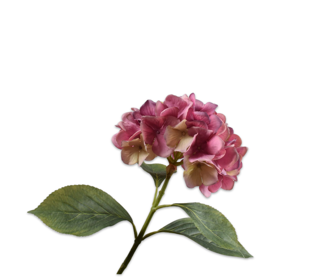 HYDRANGEA STEM PINK  70 CM