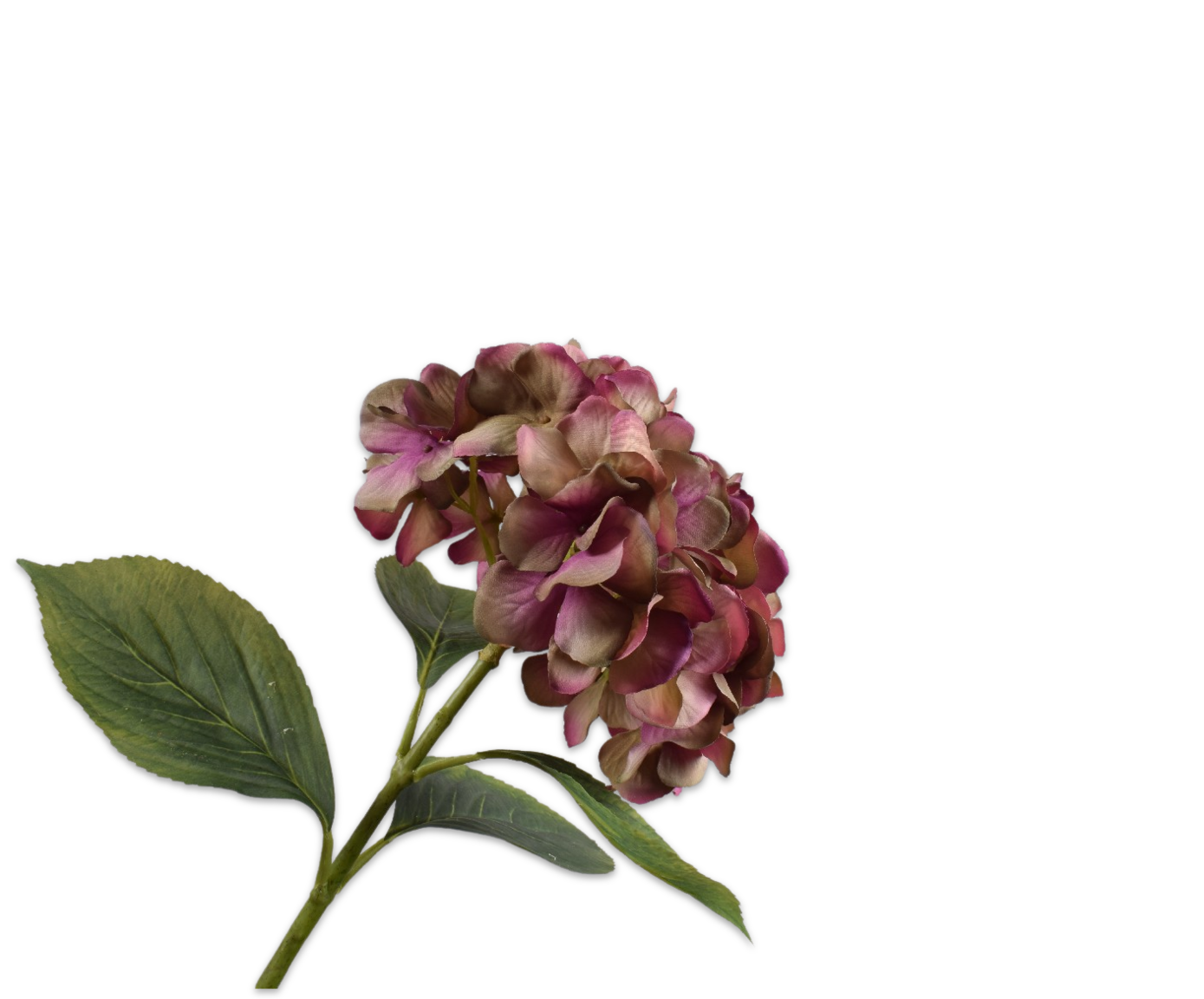 HYDRANGEA STEM PNK/GRN  70 CM
