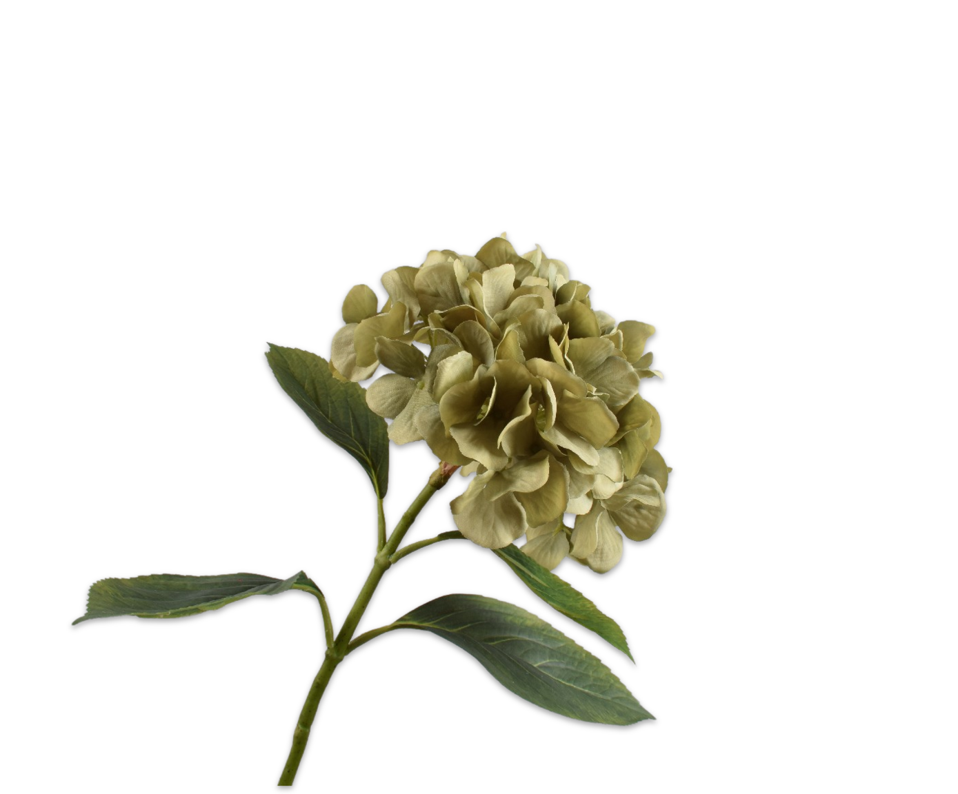 HYDRANGEA STEM GREEN  70 CM