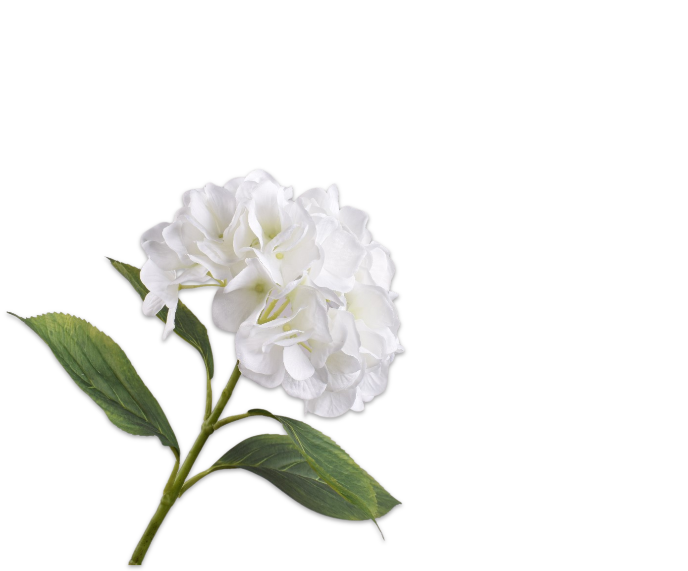 HYDRANGEA STEM WHITE  70 CM