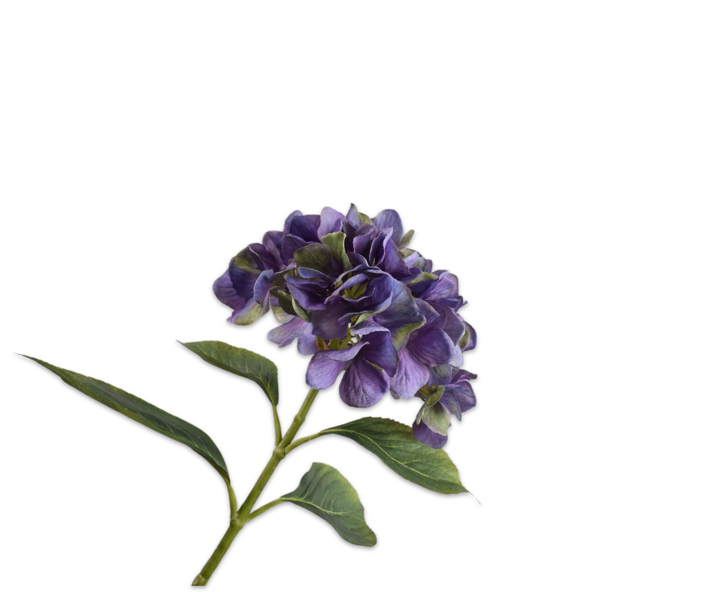 HYDRANGEA STEM PURPLE  70 CM
