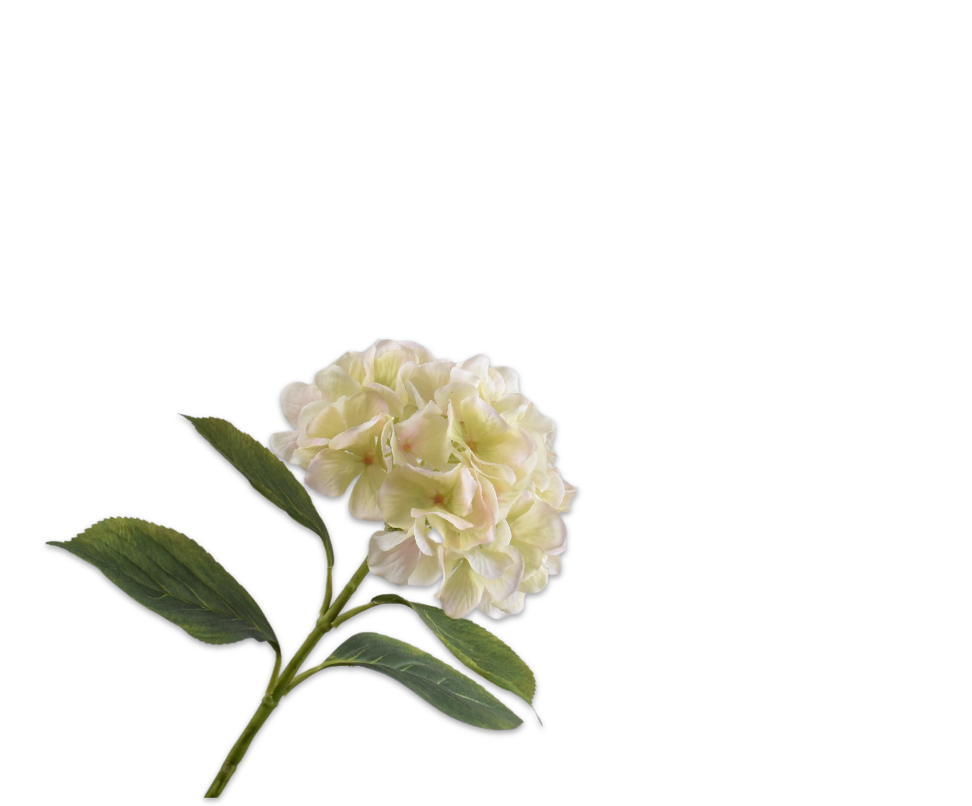 HYDRANGEA STEM CR/PNK  70 CM