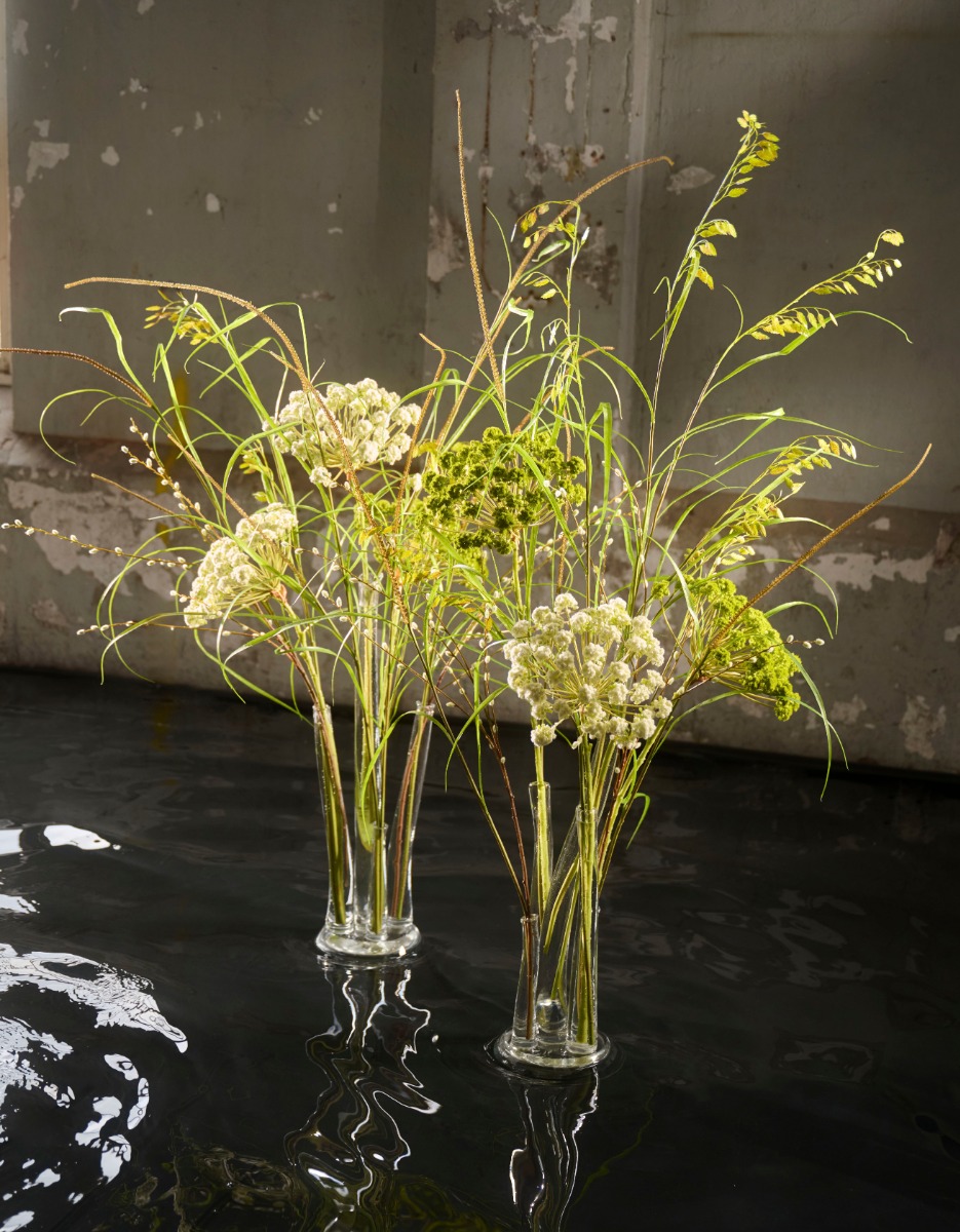 Whispers on the Lake