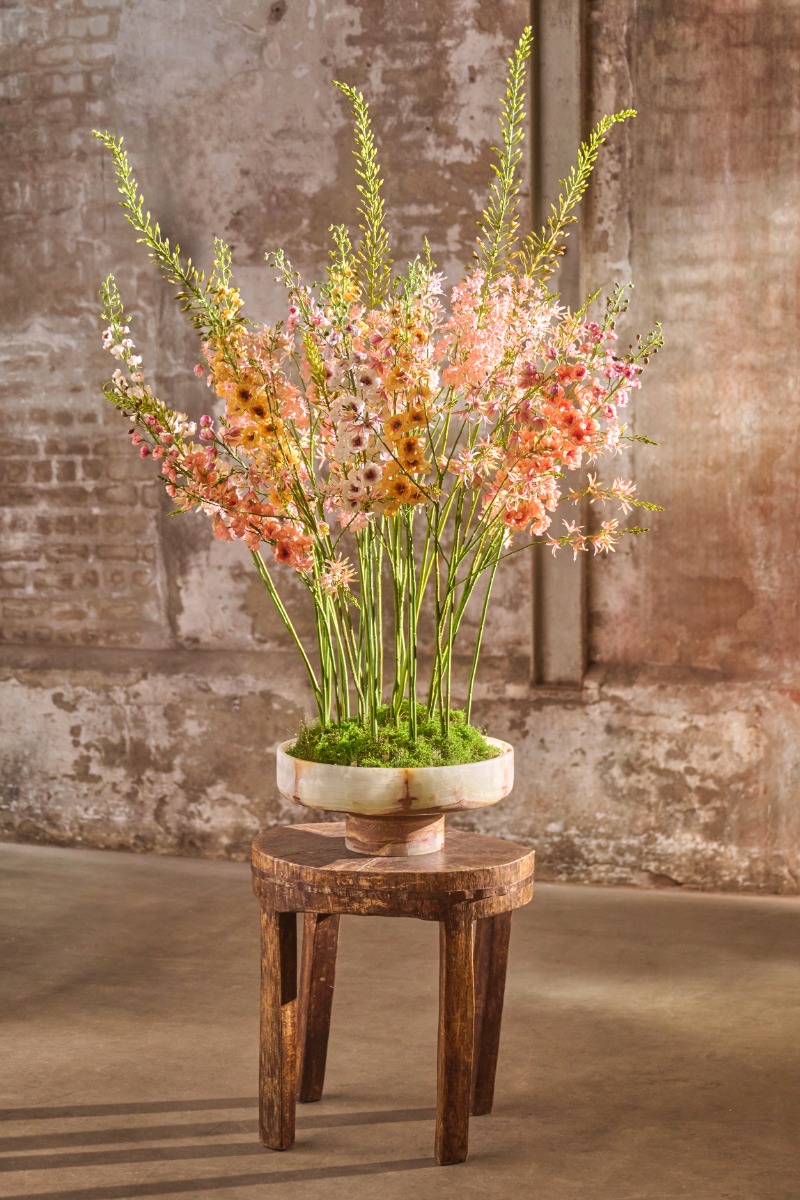 Garden of your Dreams