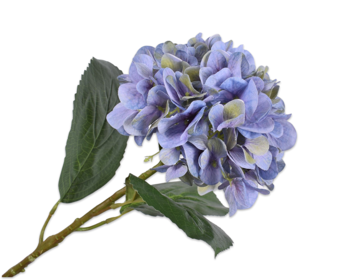 HYDRANGEA STEM LAV/GRN 56 CM