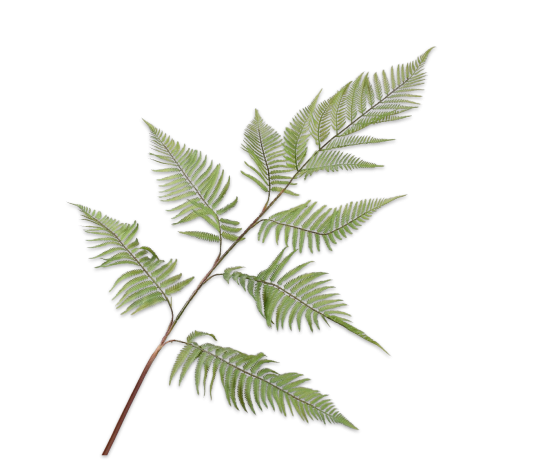 FERN SPRAY GREEN 137 CM