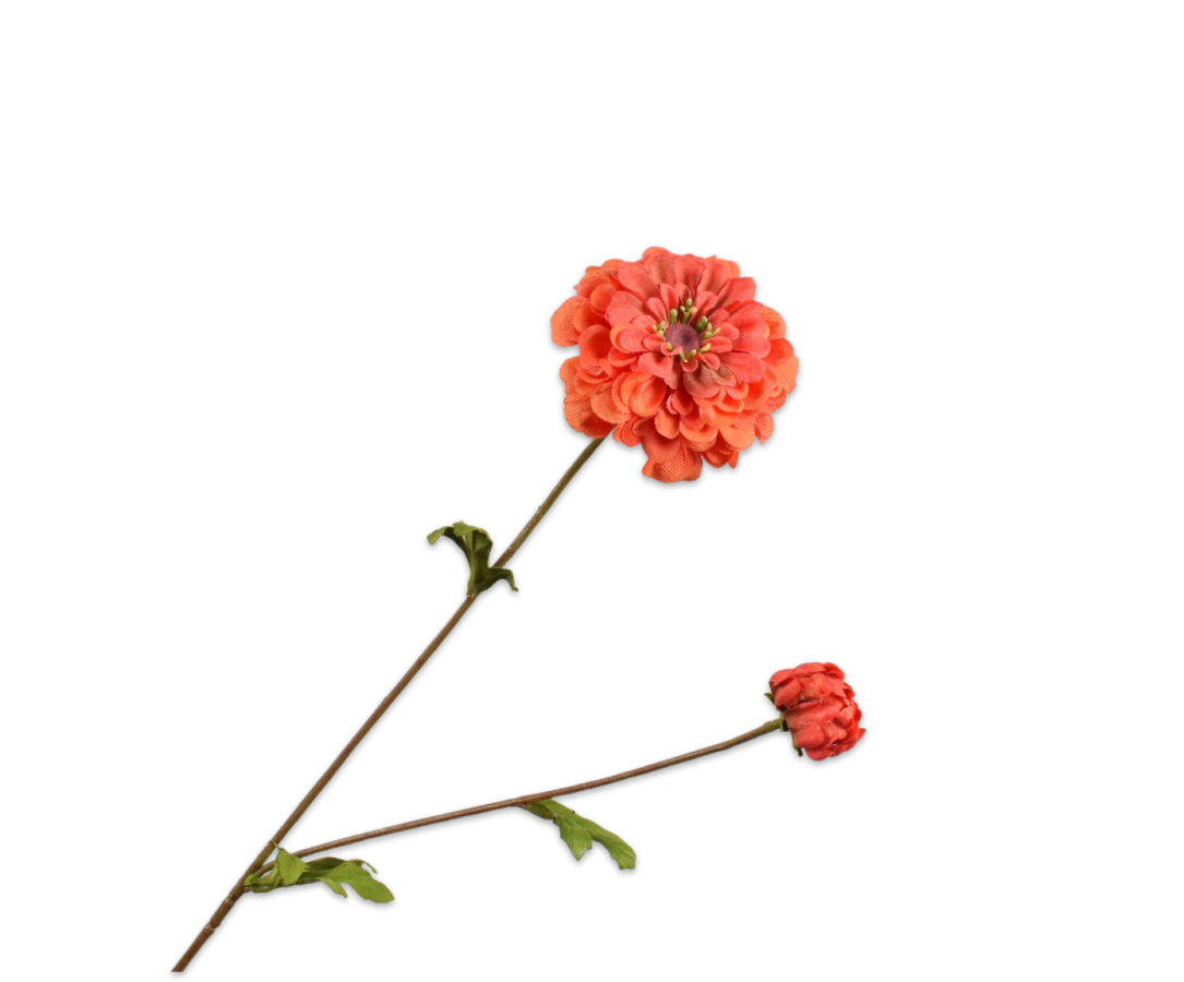 ZINNIA STEM ORA LT 63 CM