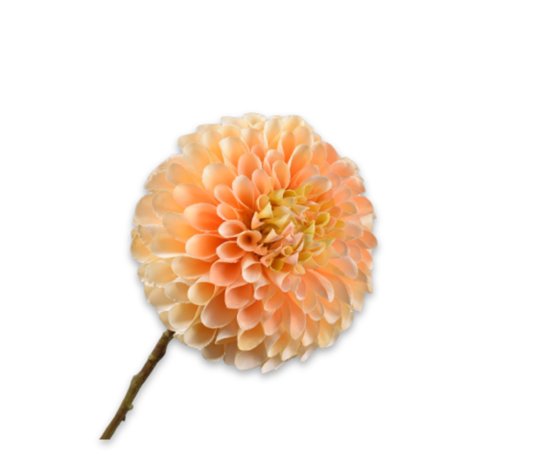DAHLIA STEM PEACH 64 CM
