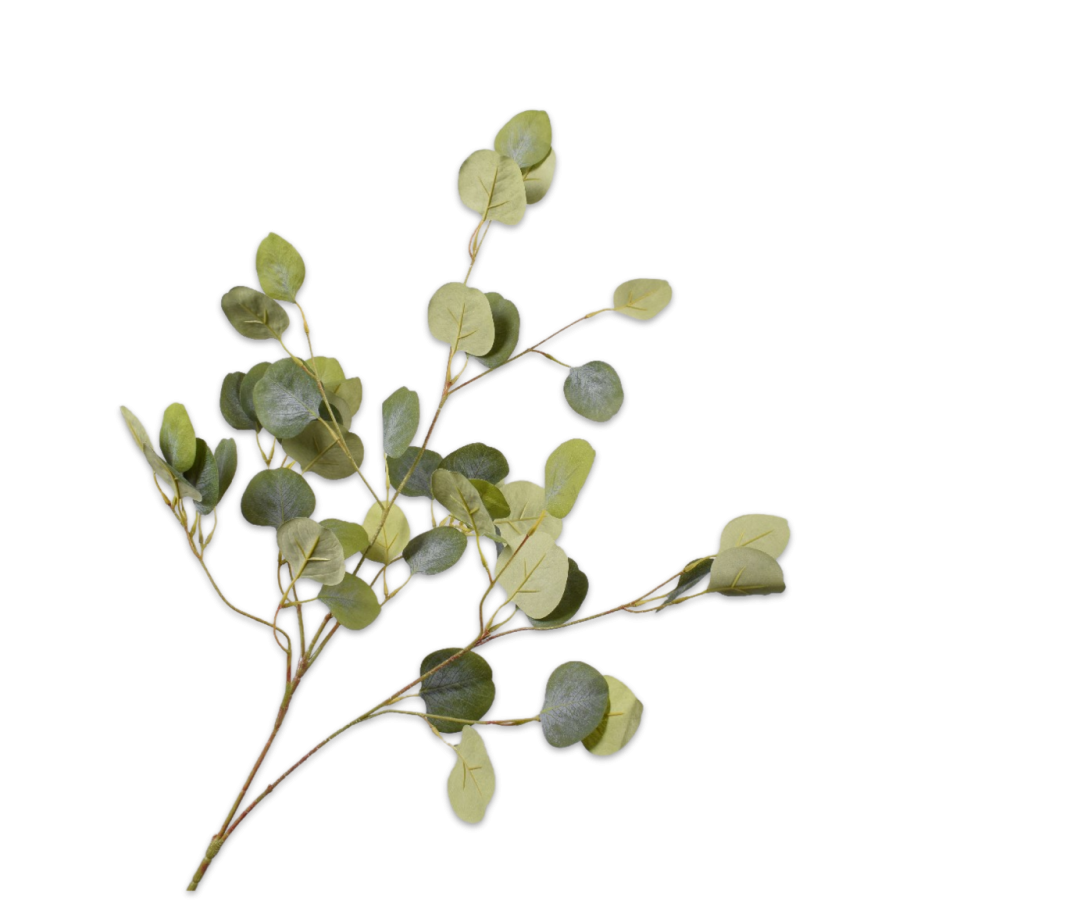 EUCALYPTUS SPRAY GREEN 101 CM