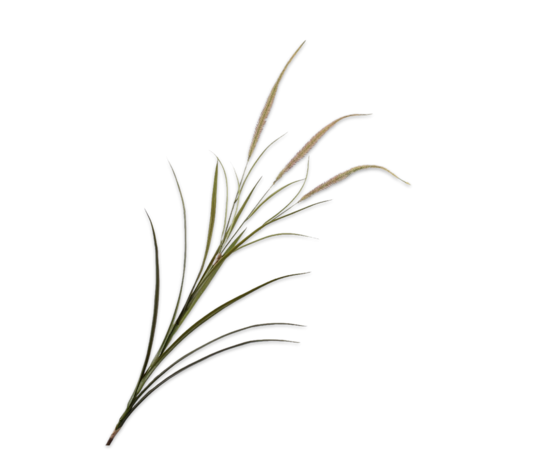 GRASS SPRAY GREEN 135 CM