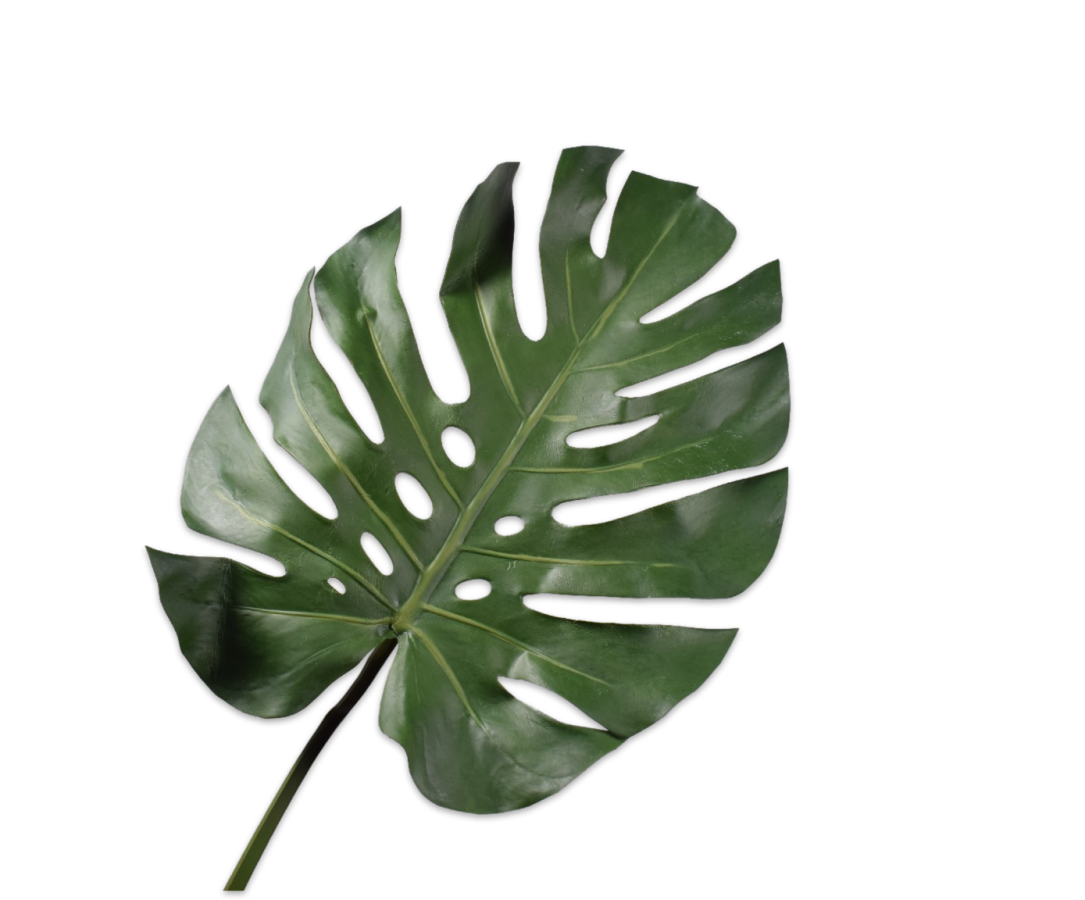 MONSTERA BLAD GROEN 68 cm
