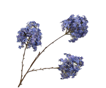 HYDRANGEA SPRAY BLUE  143 CM