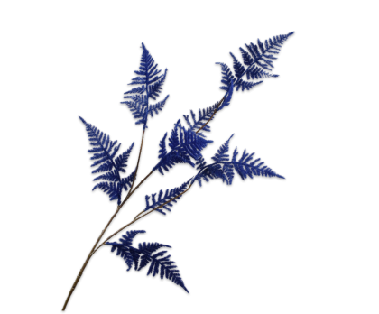 ASPARAGUS SPRAY BLUE DK  95 CM