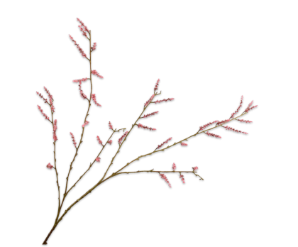 WILLOW BRANCHE  PINK  128 CM