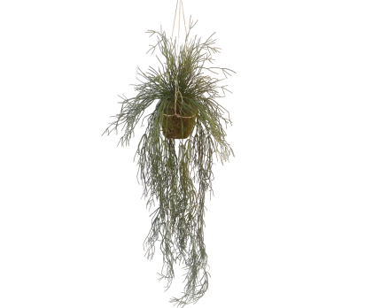 PLANT HANG CACTUS GROEN 165 cm