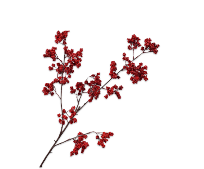 BERRY BRANCHE  ROUGE  82 CM